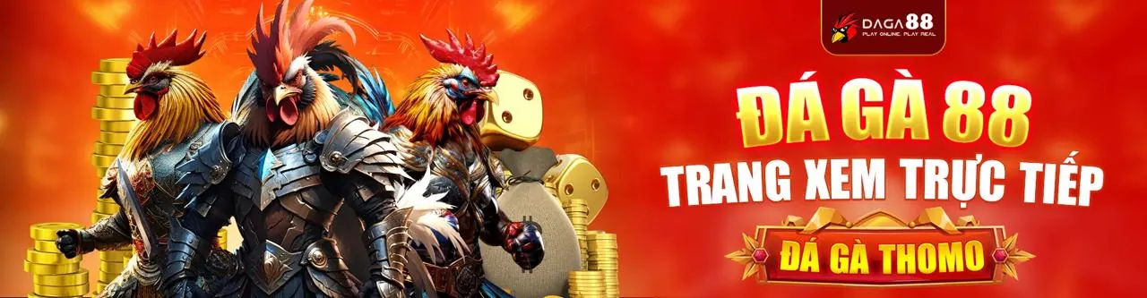 Sân đấu đá gà trực tuyến sôi động tại 90ok