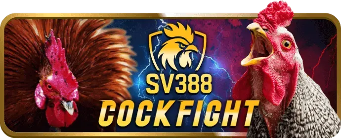 Dịch vụ khách hàng chuyên nghiệp của 90ok